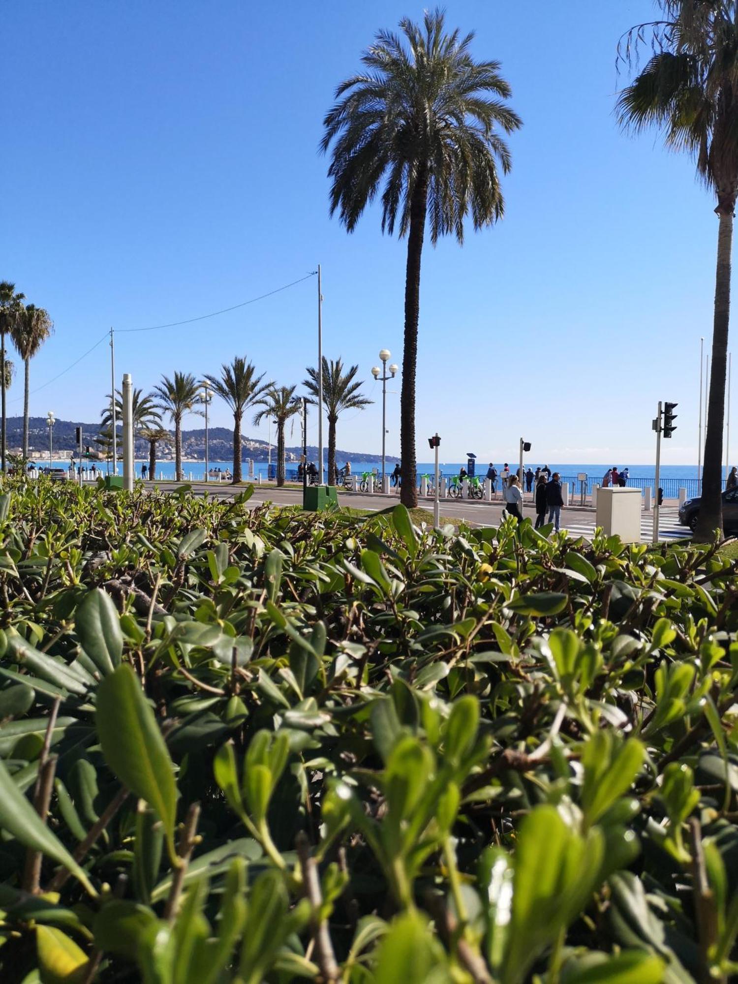 Garden Atlantide Promenade Διαμέρισμα Νίκαια Εξωτερικό φωτογραφία