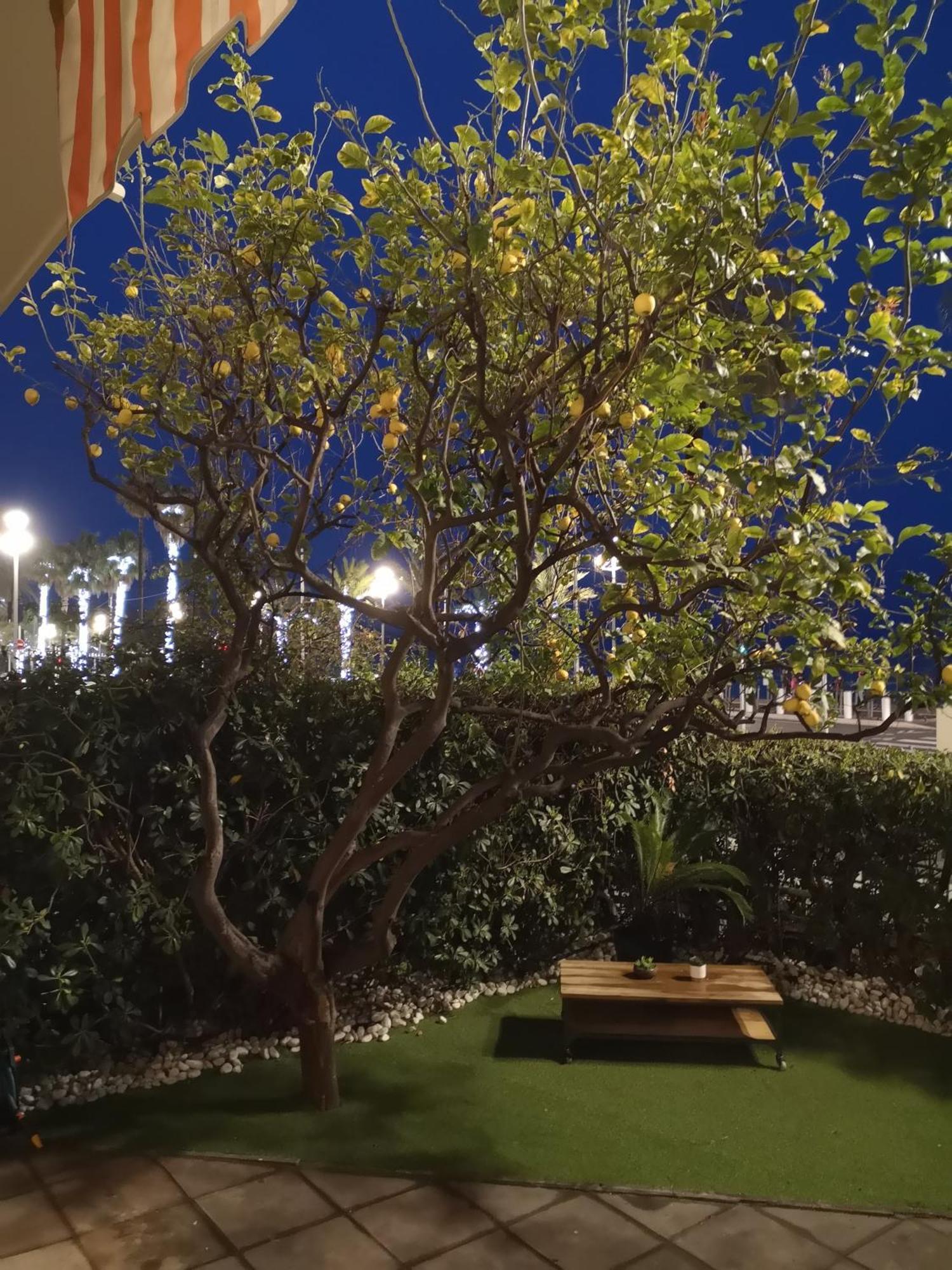 Garden Atlantide Promenade Διαμέρισμα Νίκαια Εξωτερικό φωτογραφία
