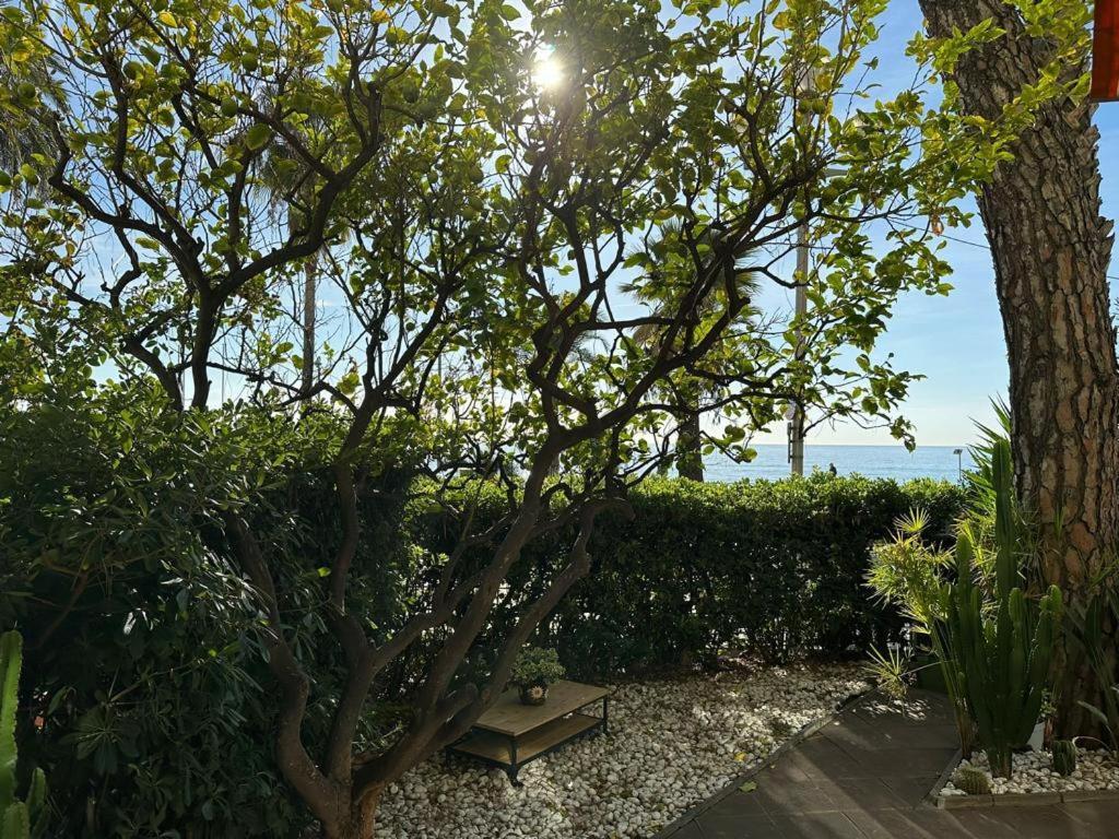 Garden Atlantide Promenade Διαμέρισμα Νίκαια Εξωτερικό φωτογραφία
